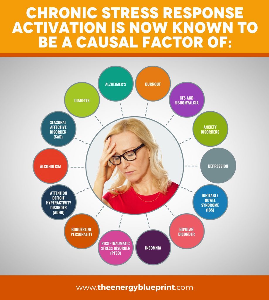 Infographic of what chronic stress response activation is a kown factor of │Why Stress Causes Fatigue And How To Overcome Stress, www.theenergyblueprint.com