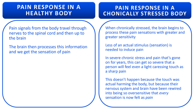 Infogrphic of how pain response triggers a healthy and a chronically stressed body │Why Stress Causes Fatigue And How To Overcome Stress, www.theenergyblueprint.com
