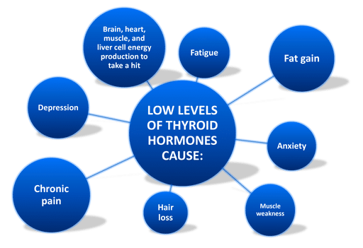 Infocraphic of what health issues low thyroid hormones cause │ Why Stress Causes Fatigue And How To Overcome Stress, www.theenergyblueprint.com