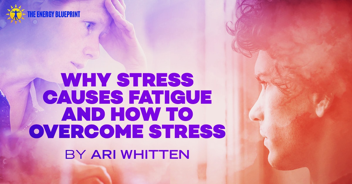 Why Stress Causes Fatigue And How To overcome stress Cover Image │ Why Stress Causes Fatigue And How To Overcome Stress, www.theenergyblueprint.com