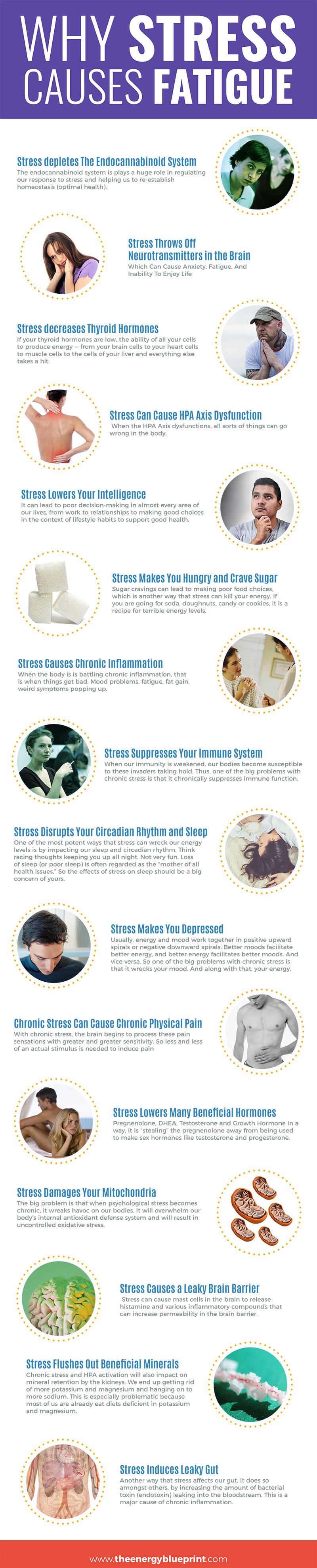│Why Stress Causes Fatigue And How To Overcome Stress, www.theenergyblueprint.com