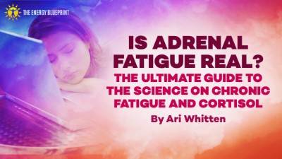 is adrenal fatigue real │ how to overcome fatigue │ how to increase mitochondria, theenergyblueprint.com