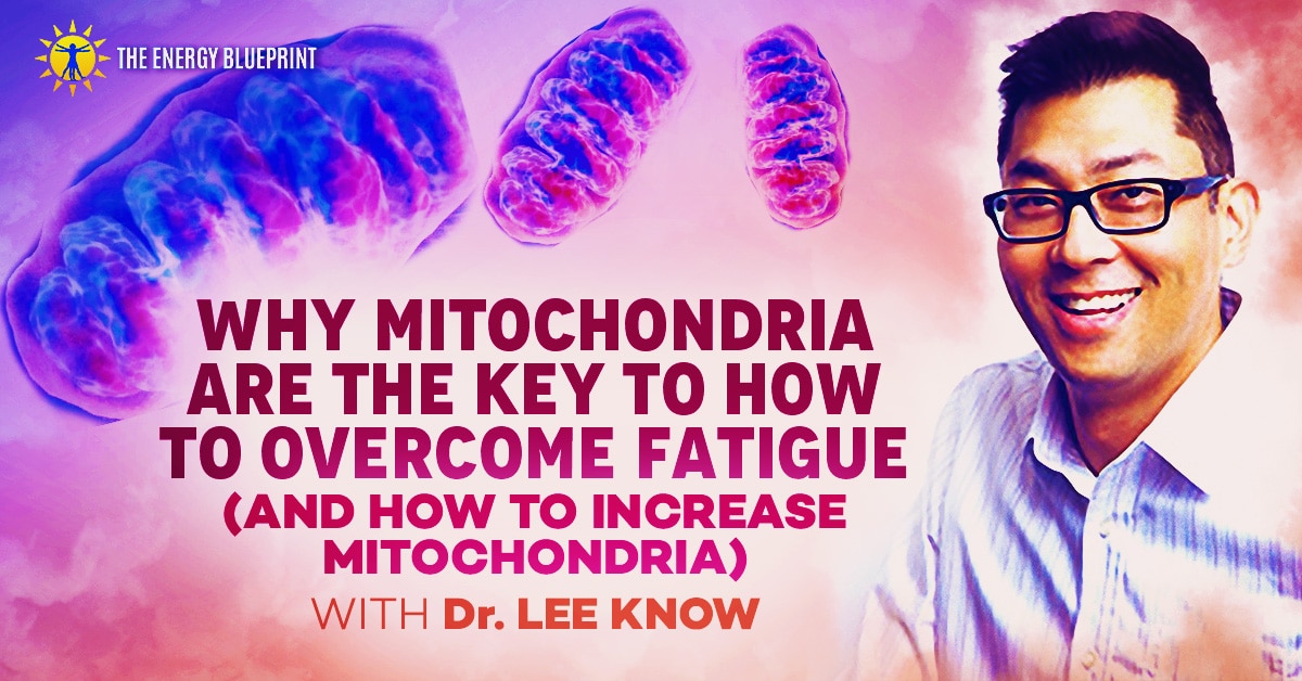 Why Mitochondria Are The Key To How To Overcome Fatigue (And How To Increase Mitochondria) with Dr. Lee Know, theenergyblueprint.com
