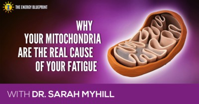 mitochondria and fatigue │ dr.Sarah Myhill │ How to overcome fatigue │How to increase Mitochondria, theenergyblueprint.com