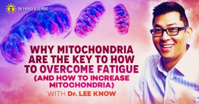WhyMitochondriaAreTheKeyToHowToOvercomeFatigue(AndHowToIncrease Mitochondria) with Dr. Lee Know
