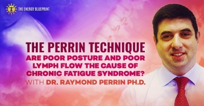 The Perrin Technique - cover image •
