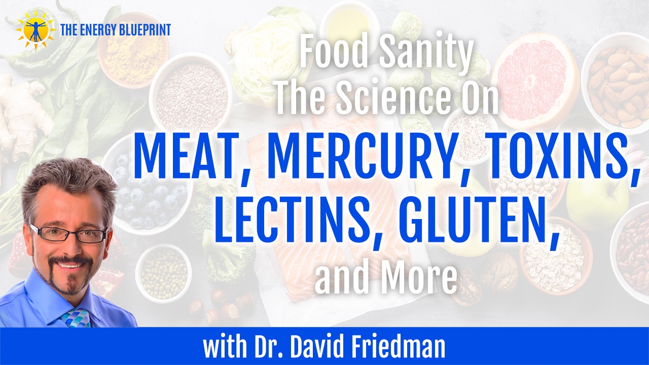 Food Sanity | The Science On Meat, Mercury, Toxins, Lectins, Gluten, and More with Dr. David Friedman