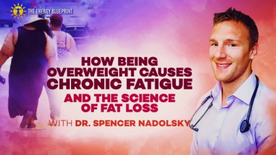 The science on fat loss - Dr. Stephen Guyenet