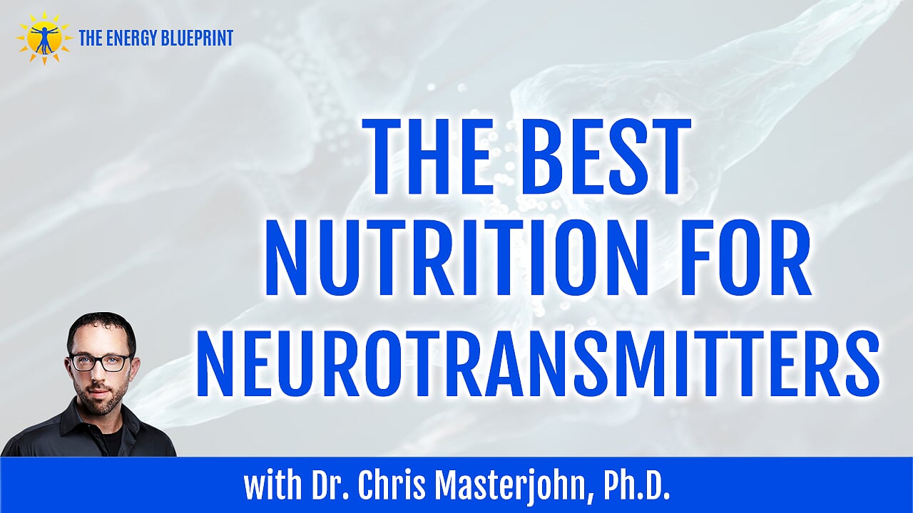 THe best nutrition for neurotransmitters New