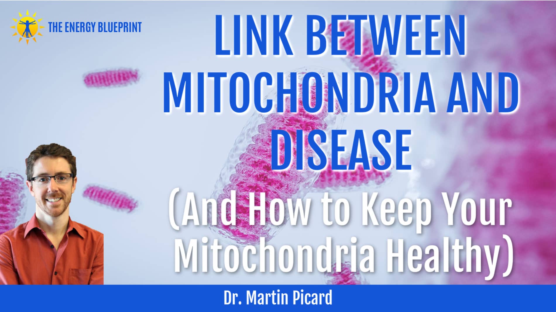 Dr. Martin Picard on LINK BETWEEN MITOCHONDRIA AND DISEASE (And How to Keep Your Mitochondria Healthy)