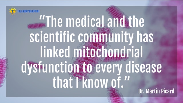 Quote: “The medical and the scientific community has linked mitochondrial dysfunction to every disease that I know of.”  - Dr. Martin Picard