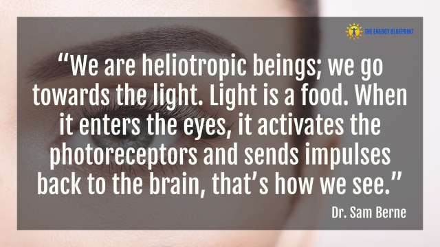 "We are heliotropic beings; we go towards the light. Light is a food. When it enters the eyes, it activates the photoreceptors and sends impulses back to the brain, that’s how we see.” – Dr. Sam Berne
