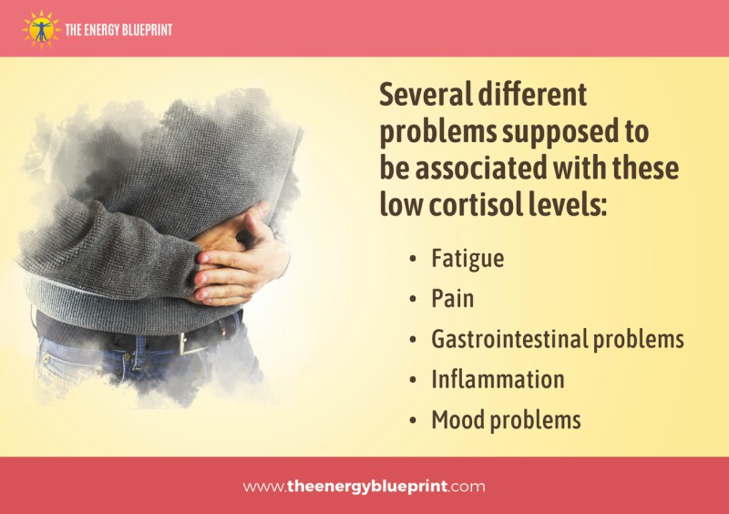 Several Different Problems supposed to be associated with these low cortisol levels │ Is adrenal fatigue real, theenergyblueprint.com