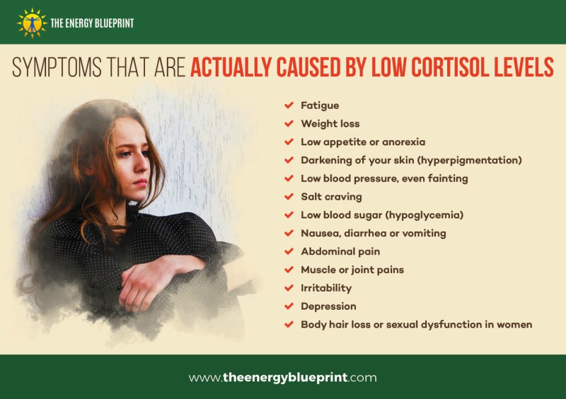 Symptoms of low cortisol levels │ is adrenal fatigue real, theenergyblueprint.com