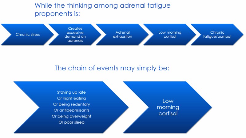 Infographic │ Is adrenal fatigue real, theenergyblueprint.com