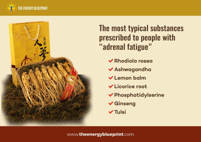 The Most Typical Substances Prescribed to People with adrenal fatigue │ Is adrenal fatigue real? theenergyblueprint.com