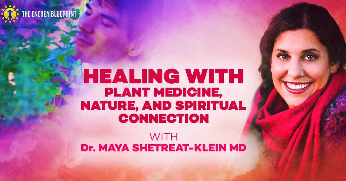 Healing wth plant medicine, nature, and spiritual Connection │ How ti use essential oils │ essential oils for energy, www.theenergyblueprint.com