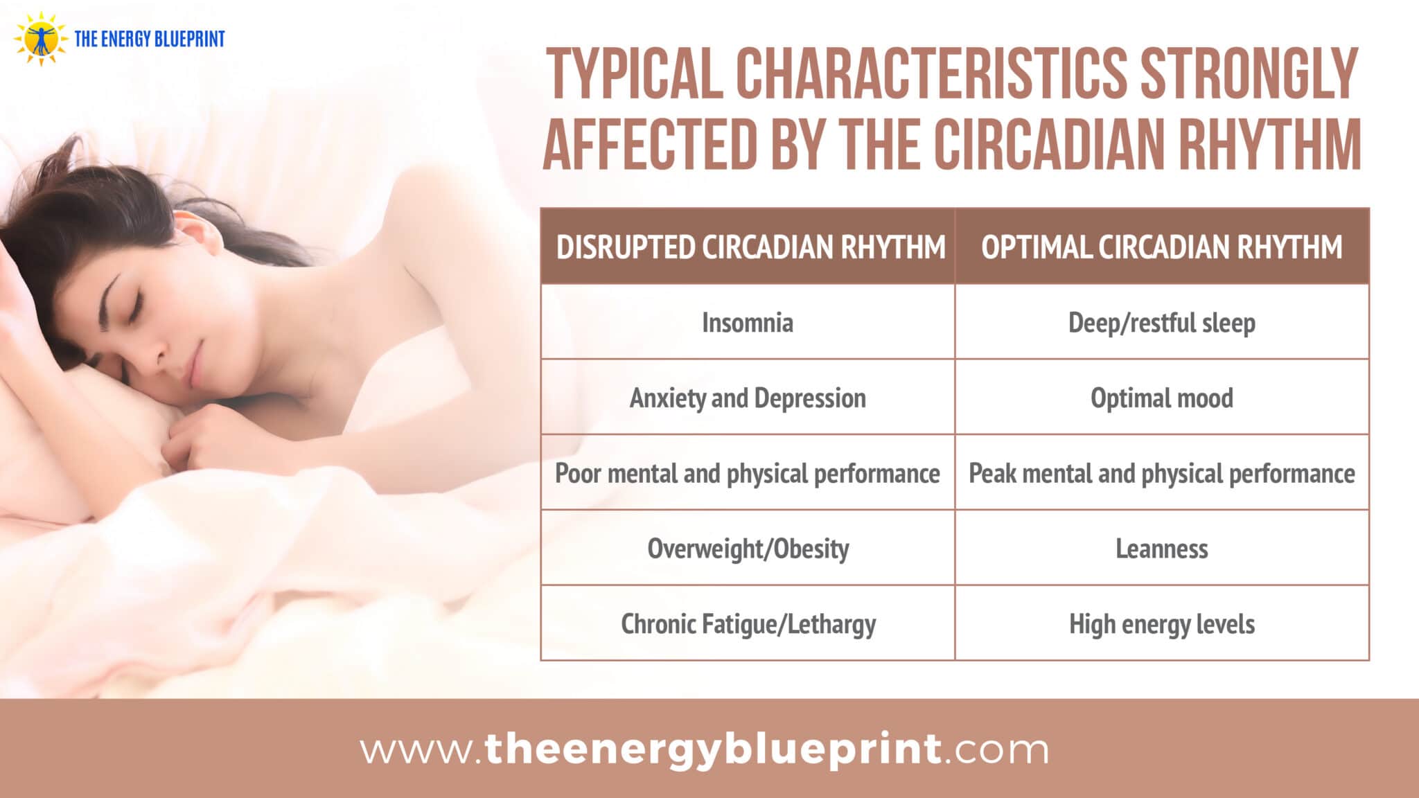typical characteristics strongly affected by the circadian rhythm │ why am I so tired, theenergyblueprint.com 