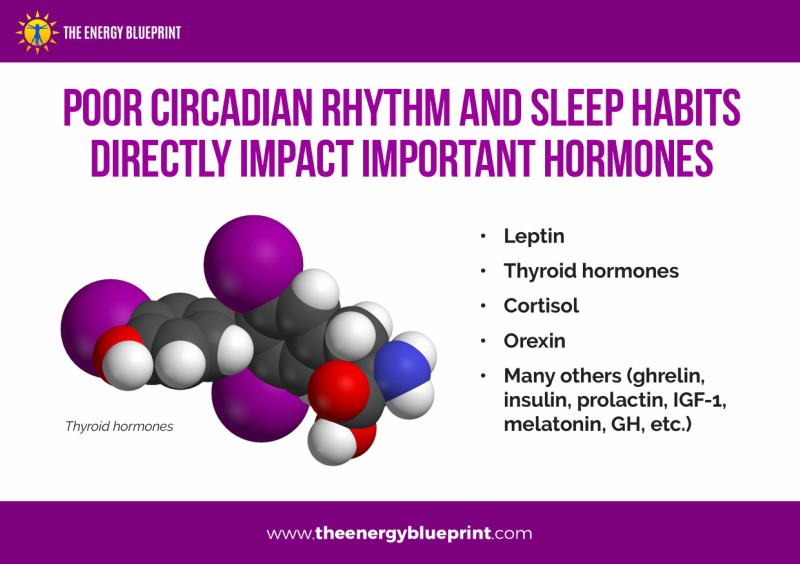 Poor Circadian Rhythm and Sleep Habits Directly Impact Importnat Hormones - Why am I so tired, theenergyblueprint.com