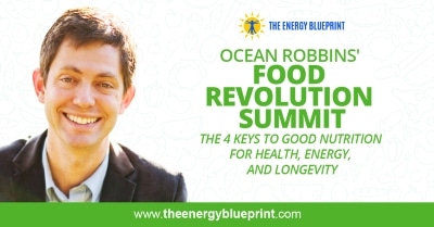 Ocean Robbins Food Revolution Summit │ The 4 Keys to Good Nutrition For Health, Energy, and Longevity │ Definition of health │ healthcare system, theenergyblueprint.com