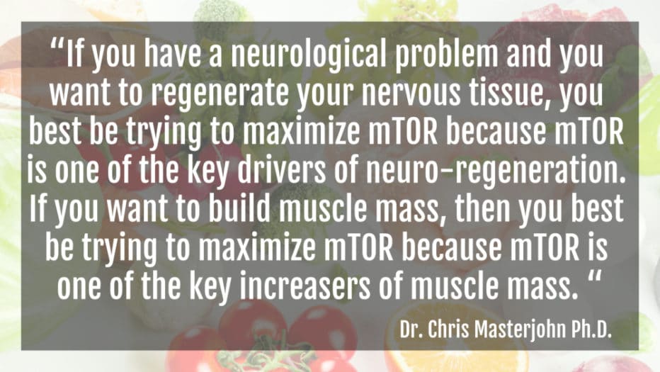 CMJ The Important Benefits of High Levels of mTOR