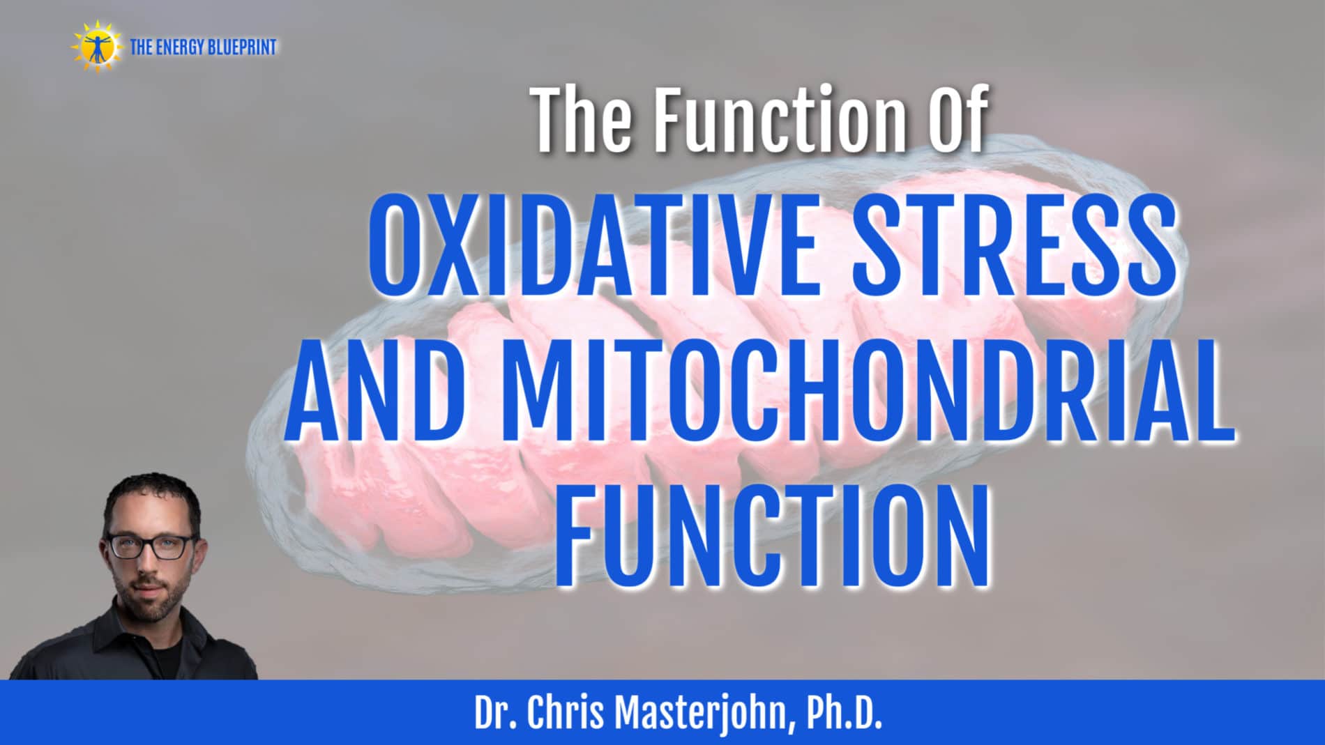 Dr. Chris Masterjohn On THE FUNCTIONS OF OXIDATIVE STRESS, AND MITOCHONDRIAL FUNCTION copy