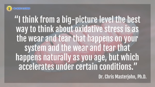 “I think from a big-picture level the best way to think about oxidative stress is as the wear and tear that happens on your system and the wear and tear that happens naturally as you age, but which accelerates under certain conditions.”- Dr. Chris Masterjohn