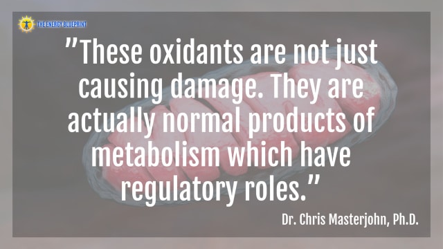 ”These oxidants are not just causing damage. They are actually normal products of metabolism which have regulatory roles.” - Dr. Chris Masterjohn