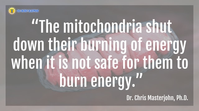  “The mitochondria shut down their burning of energy when it is not safe for them to burn energy.”- Dr. Chris Masterjohn