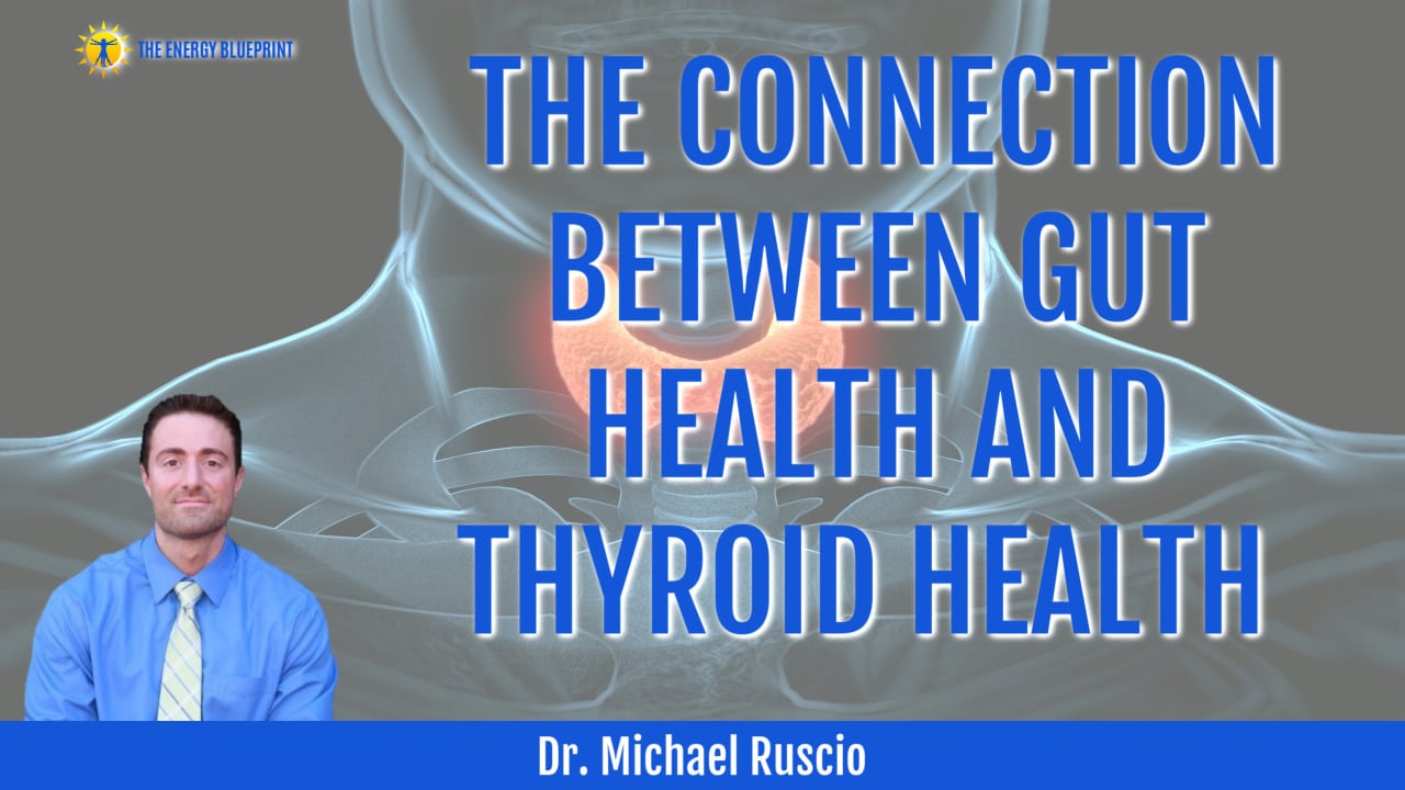Dr. Michael Ruscio on The Connection Between Gut Health and Thyroid Health