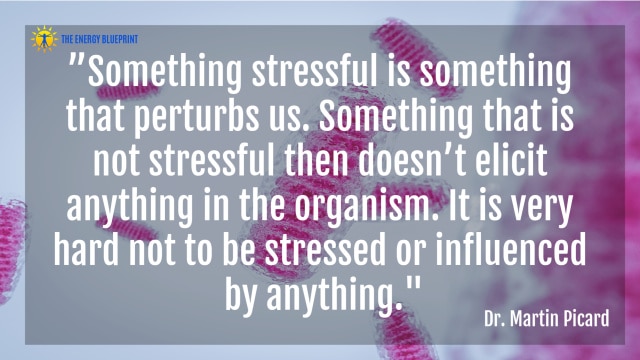 ”Something stressful is something that perturbs us. Something that is not stressful then doesn’t elicit anything in the organism. It is very hard not to be stressed or influenced by anything." - Dr. Martin Picard