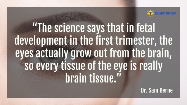 “The science says that in fetal development in the first trimester, the eyes actually grow out from the brain, so every tissue of the eye is really brain tissue.” – Dr. Sam Berne
