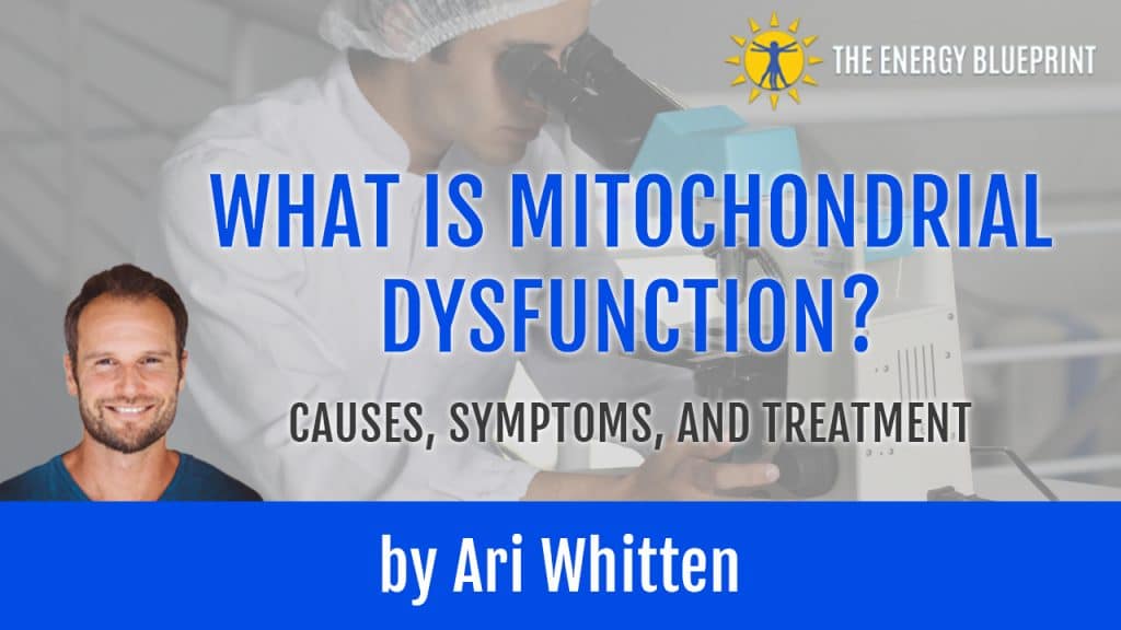 What_is_Mitochondrial_Dysfunction 